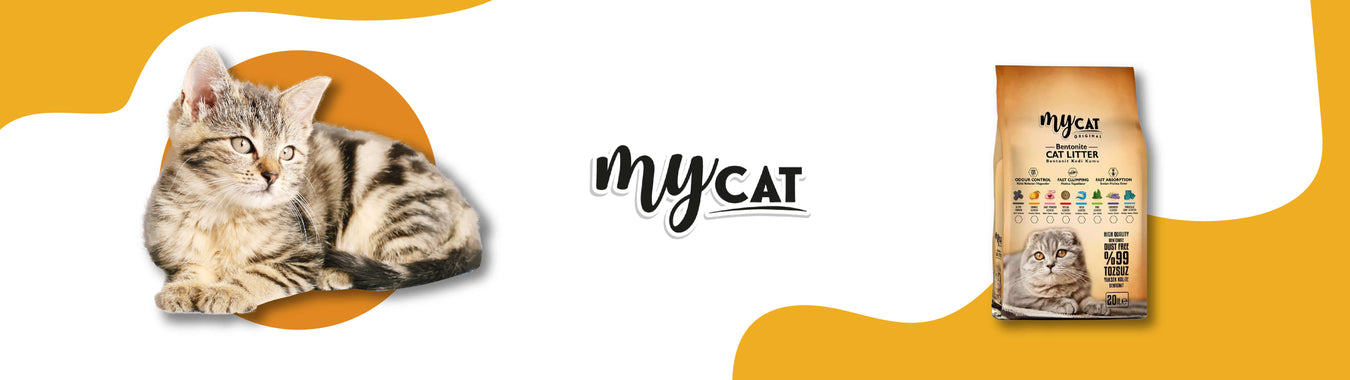Mycat