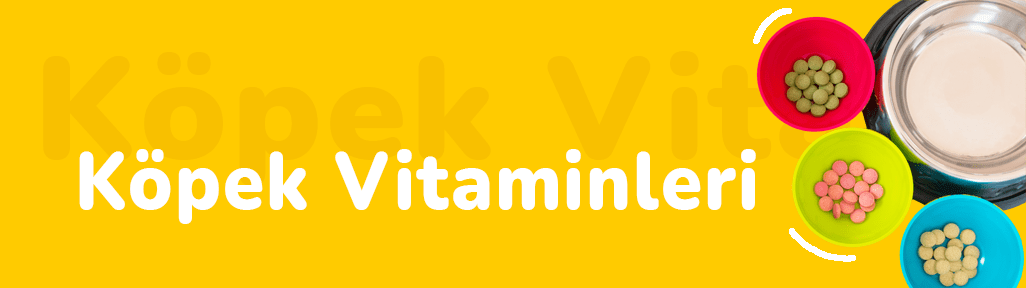 Köpek Vitamini