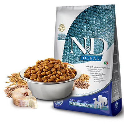 N&D Köpek Ocean Morina Balığı, Kılçıksız Buğday, Yulaf & Portakal Yetişkin Medium & Maxi 12 Kg