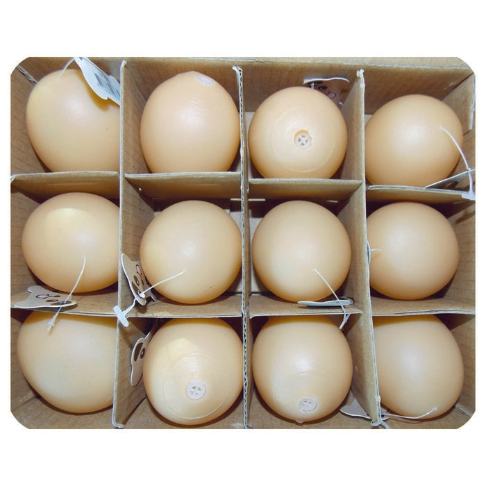 Eastland Plastik Yumurta Oyuncak 12'li 5 Cm